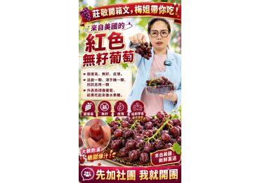 (圖)‼️ #莊敬全台快閃團，#梅姐帶你團 ‼️ 🍇 今天開箱的是—— 來自美國的「紅色無籽葡萄」！ 👋「你們看，外表明明就是葡萄，怎麼吃起來像水果糖？」