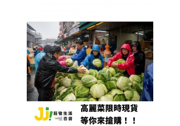 (圖)不怕颱風鬧菜慌，不怕買了沒保障  全台最省錢 高麗菜限時不限量