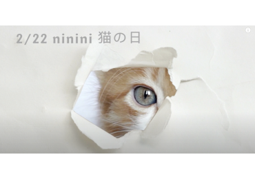 (圖)工商一下，貓奴必備商品