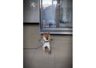 📍✨ 今日來到湖內 ✨📍 一個位在 台南 × 高雄交界 的小城市。 🔄 街景轉來轉去都差不多，☀️ 天氣卻好得不像 12 月 🍜 途中還誤闖一間 沒招牌卻 4.7⭐ 的麵店 💰 份量跟價格完全不成正比飽到扶牆出來。 總結 👉 湖