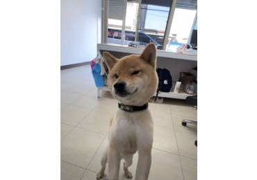 📺✨ 歡迎收看《JJ TV 特派報導》✨📺 今天，小編出差來到—— 📍 湖內 🚘 一個位在 台南 × 高雄交界 的小城市。 而且先說， 湖內有一個都市傳說等級的存在👇