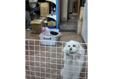 📍 華西街 38 號｜專屬鳳山人的補急站  ❗不是特價，是莊敬日常價 ❗不是逛街，是直接社團一鍵補齊  一走進華西街 38 號， 🔥 熱情的小店長先來一段舞蹈歡迎你， 接下來——直接切重點。