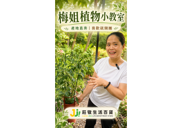 (圖)🌿【產地直奔｜梅姐植物小教室 EP.1】🌿梅姐這次直接帶大家直奔產地！🚗💨除了幫大家看看植物的實際狀況，也順便來一堂「梅姐植物小教室」🪴